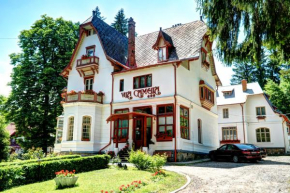 Гостиница Vila Camelia, Синая